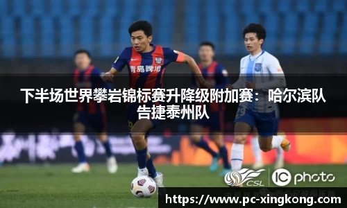 下半场世界攀岩锦标赛升降级附加赛：哈尔滨队告捷泰州队
